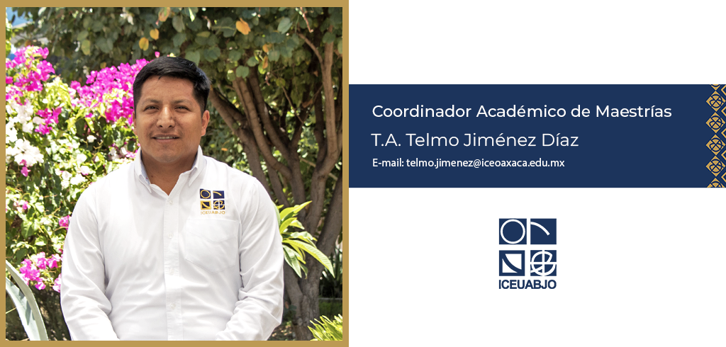 Coordinador Académico 